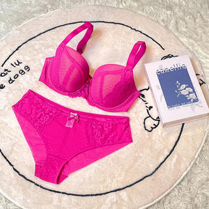 <span class=keywords><strong>Lingerie</strong></span> en dentelle transparente Wenshuo, fabrication directe, soutien-gorge push-up en coton grande taille, vente en gros, <span class=keywords><strong>lingerie</strong></span> brodée, logo personnalisé - Product Image 2