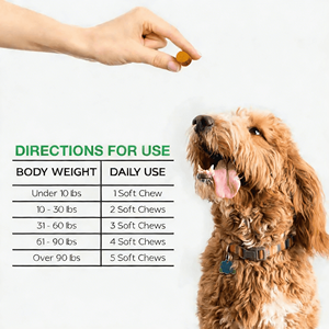 OEM/ODM Golosinas Masticables Suaves para <span class=keywords><strong>Perros</strong></span>, Refuerzo Inmunológico Canino, Calmante, Absorción Rápida, Seguro, Premium - Product Image 4