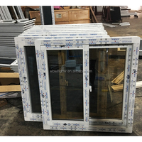 Ventanas Corredizas de PVC con Aislamiento Térmico y Diseño de Mosquitera para Uso Residencial