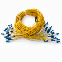 Kabel Patch Trunk Fiber Optik High Density 24F LC-LC UPC SM G.657.A1 3.0mm OFNP Plenum Rated Fanout untuk Pusat Data 1M