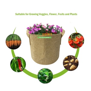 Fournitures de jardin biodégradables 5 / 7/10/15/20 gallons pot de plante sacs de culture planteur tissu de <span class=keywords><strong>jute</strong></span> pot de culture <span class=keywords><strong>sac</strong></span> de culture de jardin <span class=keywords><strong>en</strong></span> toile de <span class=keywords><strong>jute</strong></span> - Product Image 5
