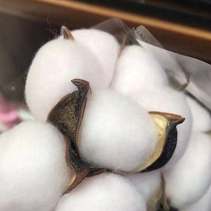 Wholesale Dried Flower Branches Handmade 10 Heads <strong>Cotton</strong> <strong>Stems</strong> for DIY Event Party Decorations - Product Image 5