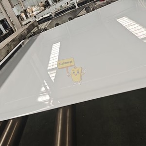 Plaques en HDPE de 4x8 pieds, plaques en <span class=keywords><strong>PEHD</strong></span>, blanc naturel, panneau en HDPE - Product Image 3