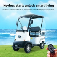 Mini-bus X2 Nouvelle Énergie Scooter de Mobilité à Deux Places pour Personnes Âgées Véhicule Électrique à Quatre Roues Couvert Moteur 650 kW Autonomie 31-50 km