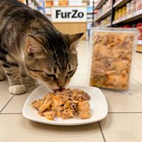 Nourriture humide pour chiens et chats sans céréales, riche en protéines, 50g, saveur bœuf, poulet, canard, pour la santé de la peau et du pelage, le gain musculaire, le soutien digestif