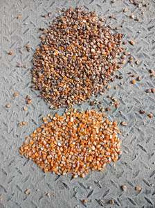 Machine <span class=keywords><strong>de</strong></span> tri <span class=keywords><strong>de</strong></span> couleurs à haute efficacité, <span class=keywords><strong>type</strong></span> chute, capacité 99,9 %, précision 99,9 % - Product Image 5