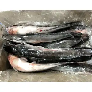 ナマズ養殖場アフリカ産1kg 1000g冷凍ナマズ輸出業者