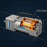 Moteur à induction micro-AC à engrenages 90W~750W monophasé 220V avec démarreur d'automatisation et frein, rotation avant/arrière pour la transformation alimentaire