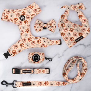 Patrones creativos personalizados, diseño de arnés para cachorros, collares ajustables de neopreno para perros y Correa, bolsa para caca, perro que camina - Product Image 3