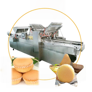 Équipement de production de gâteau éponge - Product Image 1