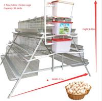 Système d'abreuvement automatique à 3 niveaux pour 96 oiseaux, cages à poules pondeuses, élevage avicole en Tanzanie