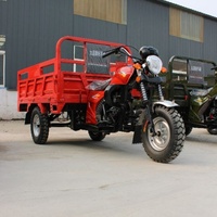 Motocyclette à trois roues ouverte motorisée à essence 250cc+, side-car, réservoir de carburant de 13L, grande capacité, 1000kg, refroidissement par air, certifiée EEC