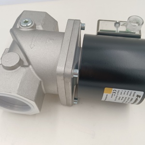 VMR4-2 VMR3-2 VMR6-2 Solénoïde d'allumage combiné pour Elektrogas STOCK (États-Unis) - Product Image 2