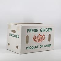 Conteneur en PP ondulé recyclable pour gingembre, étanche, lavable, empilable, dégradable, pour la récolte de gingembre frais en ferme