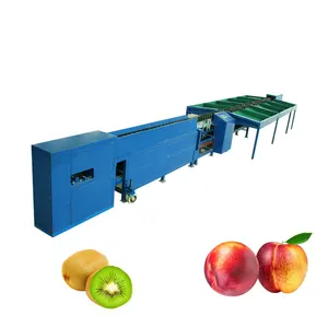 Domates sıralama derecelendirme makinası/elektronik meyve sınıflandırma makinesi