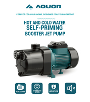 AQUOR 600W Hochleistungs-Gusseisen-Jetpumpe 33M Max. Förderhöhe Sauberwasser Elektrische Haushalts-Jetwasserpumpe