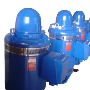 มอเตอร์ไฟฟ้ากระแสสลับแบบอะซิงโครนัสสามเฟส รุ่น YLB ระดับ IP54 และ IP55 สำหรับปั๊มน้ำบาดาล - Product Image 2