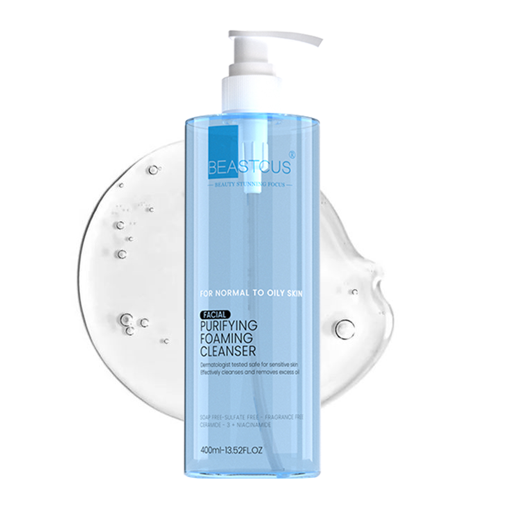 NETTOYANT MOUSSE PURIFIANT