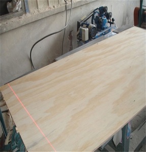 Contrachapado de pino CIMBRA <span class=keywords><strong>URUGUAYA</strong></span> PTS 12mm 15mm 18mm - Product Image 6