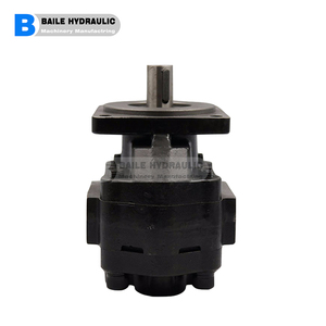 Bomba Hidráulica de Engranajes Simples Serie CBG CBGJ CBGJ3, Modelos CBGJ3100 CBGJ3125 CBGJ3140 CBGJ3160 CBGJ3180 CBGJ3200 CBGJ3220 - Product Image 1