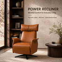 Promotion Chaise Fauteuil Inclinable Simple Moderne OEM ODM en Cuir Pleine Fleur et Tissu, Commande Manuelle et Tactile, pour Salon, Salle à Manger, Maison
