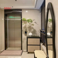 Ascenseur passager populaire de 800 kg pour 10 personnes, profilé en aluminium, avec revêtement PVC, idéal pour les hôtels/appartements et les projets de bâtiments de moyenne hauteur