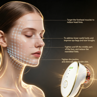 Appareil de luminothérapie rouge portatif pour le visage, masseur facial, drainage lymphatique, équipement de beauté à domicile, anti-âge, lifting du visage, soin de la peau
