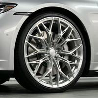Rines Forjados Multirradio en Plata Pulida de 19-22 Pulgadas para Porsche 911 / Audi R8 / BMW Serie M