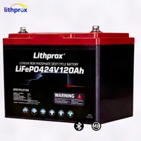 Batterie à décharge profonde robuste 24V 120AH Grade A LiFePO4 Marine Bluetooth Smart BMS M8 Terminal 6K Cycles CE RoHS IP67 OEM ODM