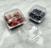 Barquette en plastique pour fruits frais (fraises, myrtilles, cerises, tomates, raisins) – Présentoir de supermarché pour la vente au détail
