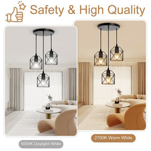 Meilleure Vente Cage en Fer Industrielle Luminaires Décoratifs Vintage E26 Plafonniers de Salle à Manger/Lampe Pendante de Salle à Manger à LED/Lustres - Product Image 5