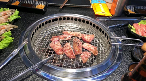 <b>Disposable</b> <b>BBQ</b> Grill Mesh grilling mesh - Product Image 5