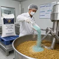 Sulfate de fer, sulfate ferreux monohydraté, poudre grise blanche, qualité additif alimentaire
