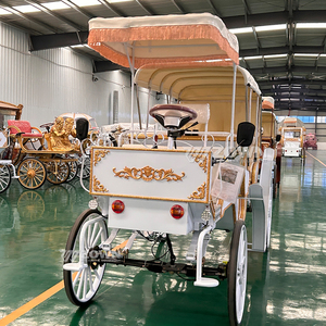 รถม้าชมวิวแบบเปิดประทุน ทนทาน ใช้ได้กับสี่ล้อ เหมาะสำหรับสวนสนุก สถานที่มีประวัติศาสตร์ และการใช้งานเชิงพาณิชย์ - Product Image 4