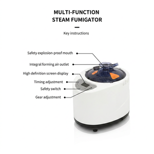 Générateur de vapeur électrique portable moderne pour <span class=keywords><strong>sauna</strong></span> et douche personnelle, 2,6 litres, pour appartement - Product Image 3