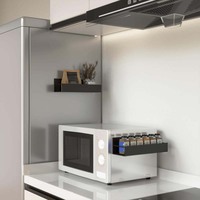 Étagère à épices magnétique pour réfrigérateur, lot de 2, organisateur d'épices mobile pour réfrigérateur et four à micro-ondes
