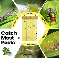 Plantes d'intérieur moucherons insectes collant tueur rouleau suspendu mouche ruban insecte mouche feuilles de papier colle insecte attrape-insectes