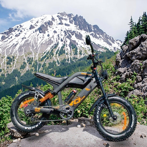 CE Certified 48V 1000W <strong>E</strong>-Tour R8 Plus Electric Mountain <strong>Bike</strong> X20 24" Fat Tire Long Range 30AH Lithium Rear Hub Sport - Product Image 6