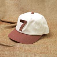 Casquette de baseball à 6 panneaux en coton pur à bord court, broderie 3D, livraison directe d'usine, personnalisable, nouvelle collection