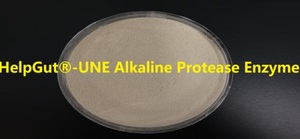 Cấp thực phẩm cấp dược phẩm 200,000 đến 1.5 triệu u/g kiềm protease cho thực phẩm, y tế, sản xuất bia, rửa, lụa, da - Product Image 3