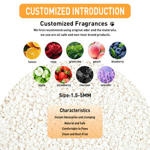 Litière <span class=keywords><strong>pour</strong></span> chatons en pur manioc, hautement absorbante, contrôle des odeurs supplémentaire, sans poussière, facile à façonner, non collante, type tofu blanc - Product Image 5