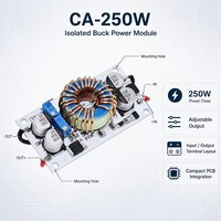Módulo de fuente de alimentación del controlador LED de 250W 10A DC Convertidor de impulso de corriente constante no aislado para dispositivos móviles Convertidores de inversores