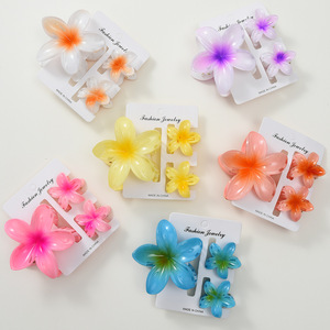 Ladies Hair Accessories Multi <strong>Color</strong> Versatile Bulk Claw <strong>Clips</strong> for Girl Fashion Flower Resin Jewellery Manufacturer ALN25123188 - Product Image 3