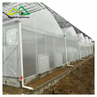 Gotische Tuinbouwkas Kit |   Grote enkellaagse multispan commerciële constructie voor de teelt van hoogproductieve groenten en bessen