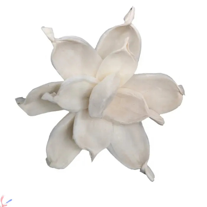 SN004 Scent Gift Artificial Aroma Reed Diffuse gardenia sola wood flower for wedding home decoration
