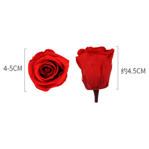 Testa di Rosa Stabilizzata 4-5 cm B - Rosa Eterna a Forma Quadrata, Fiori Secchi per Decorazioni Domestiche per San Valentino - Product Image 2