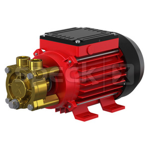 Bomba de pistón eléctrica recíproca Speck NP25 41 170 con conexión de brida de 1 pulgada, succión de 6 m, 0,1-10 bar - Product Image 2