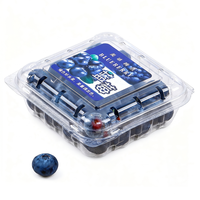 Herbruikbare PET transparante plastic doos voor blauwe bessen, geventileerde clamshell voor vers fruit, aardbeien, frambozen, groothandelsverpakking