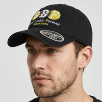 Casquette de baseball 100 % coton, respirante et confortable, à motif lettres sportif, 6 panneaux, ajustable, pour usage quotidien – Vente directe usine