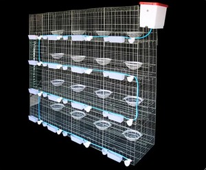 BAIYI <strong>cages</strong> for sale steel superior <strong>fancy</strong> <strong>cages</strong> racing <strong>pigeon</strong> breeding the new type  4 <strong>layer</strong> <strong>pigeon</strong> cage nipple for - Product Image 5